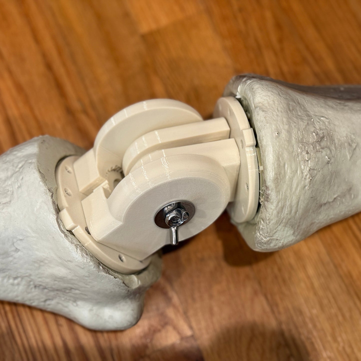 PRE ORDER!!! 12 foot Home Depot Skeleton (Skelly) Poselbows, Posable Elbows with Stainless hardware.