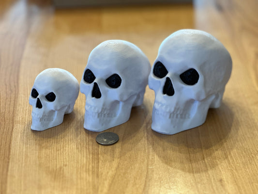 Skelly Multicolor Head Desk Collectable