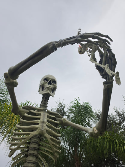 12 foot Home Depot Skeleton (Skelly) Poselbows, Posable Elbows with Stainless hardware.